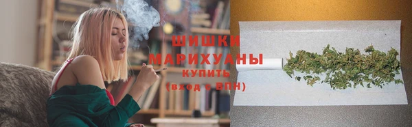 ECSTASY Белокуриха