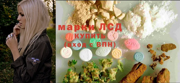 ECSTASY Белокуриха
