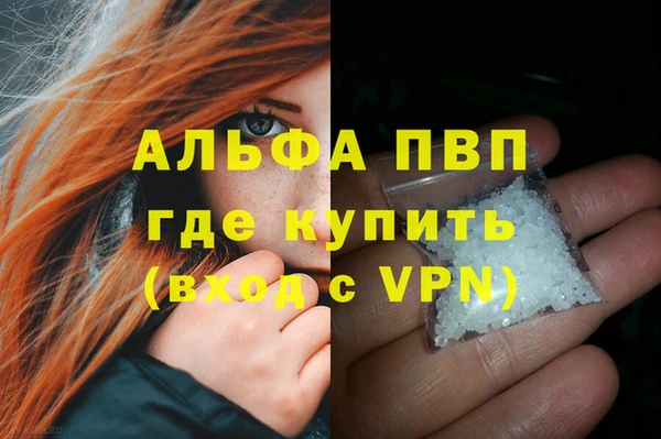 ECSTASY Белокуриха