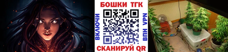 MEGA ссылки  даркнет телеграм  Волосово  Шишки марихуана планчик  как найти наркотики 